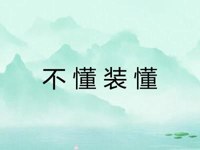 不懂装懂