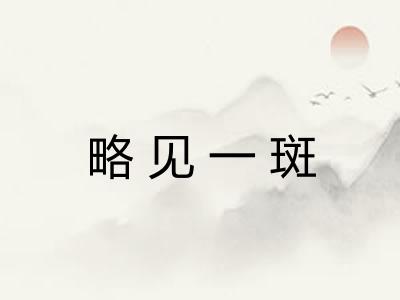 略见一斑