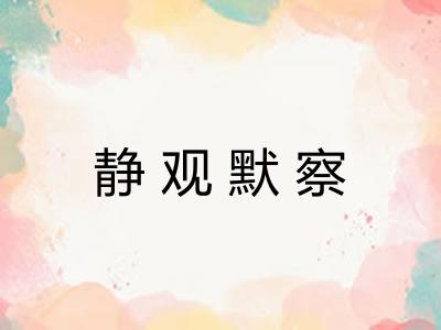 静观默察 静观默察