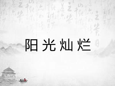 阳光灿烂 阳光灿烂