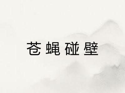 苍蝇碰壁