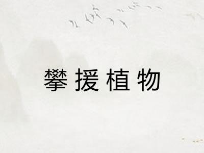 攀援植物