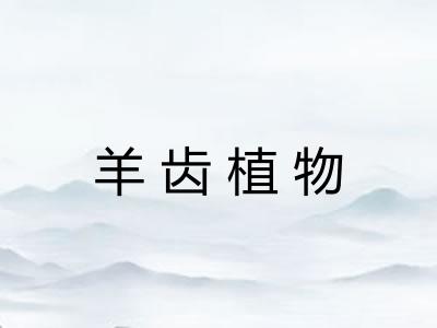 羊齿植物
