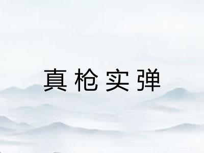 真枪实弹 真枪实弹