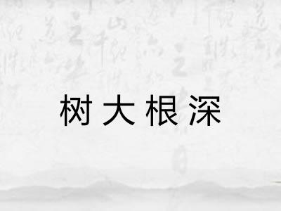 树大根深 树大根深