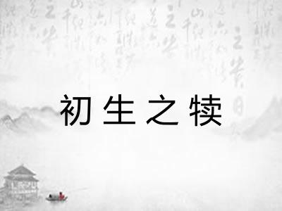 初生之犊