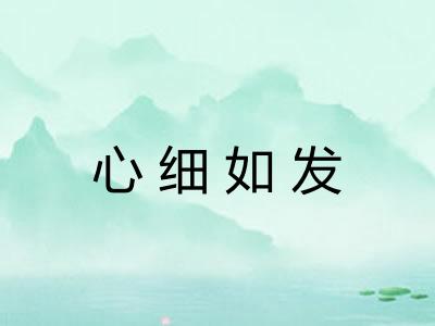 心细如发