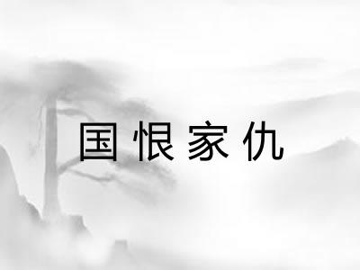 国恨家仇 国恨家仇