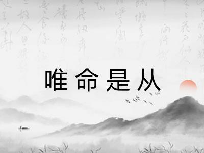 唯命是从