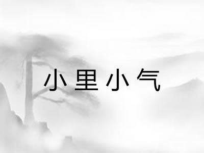 小里小气