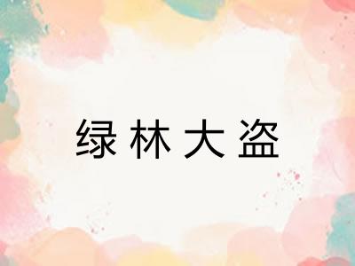 绿林大盗 绿林大盗