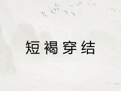 短褐穿结