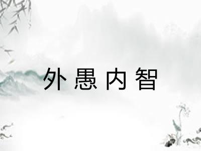 外愚内智