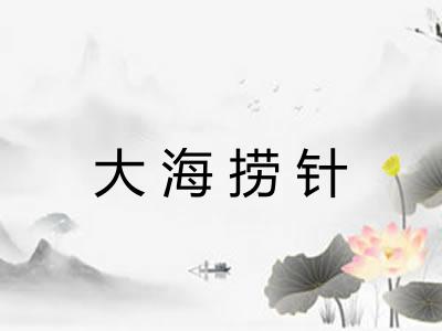 大海捞针 大海捞针