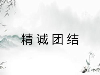 精诚团结