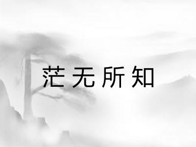茫无所知