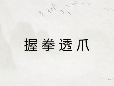 握拳透爪 握拳透爪