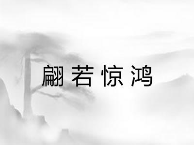 翩若惊鸿 翩若惊鸿