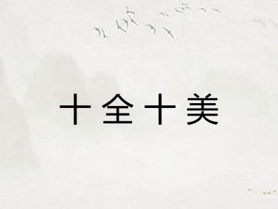十全十美